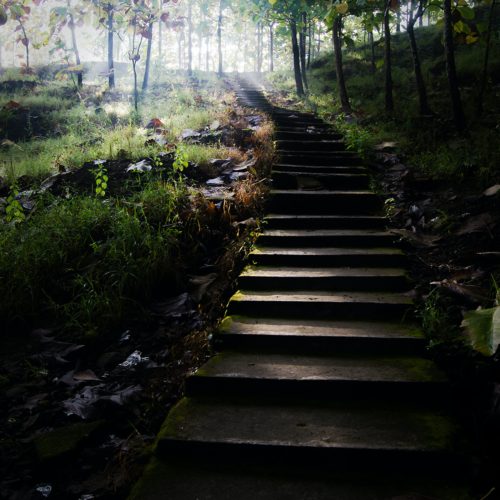 Whats the next best step? Staircase into the woods.