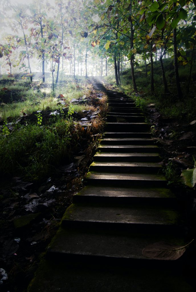 What's the next best step, staircase picture into the woods.